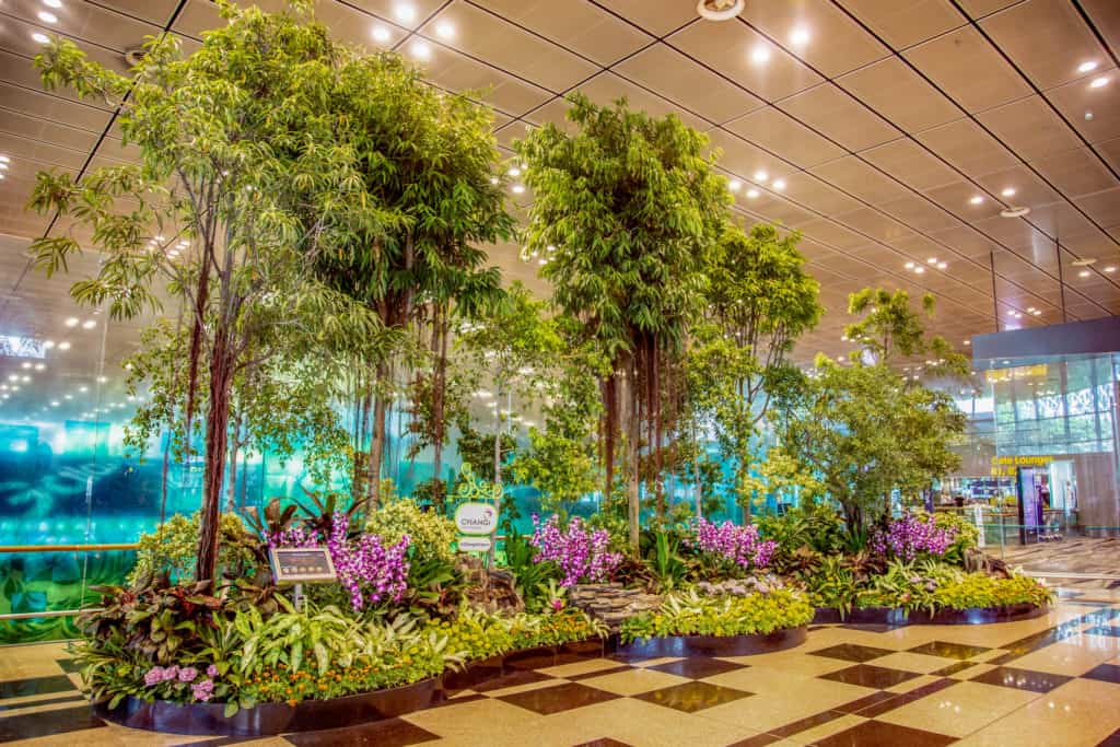 Changi Airport Terminal 3, LIAS Awards 2019