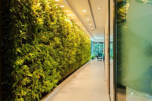 #1 Vertical Green Wall Garden Planter System in Singapore